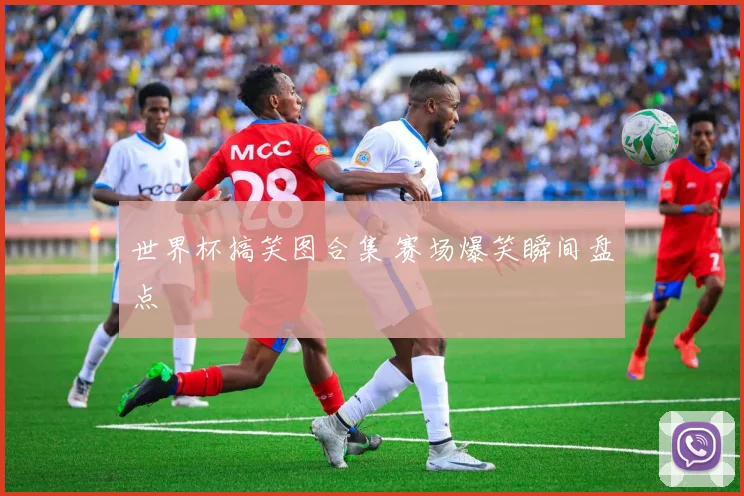 世界杯搞笑图合集 赛场爆笑瞬间盘点