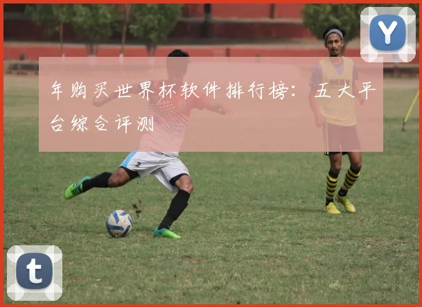 年购买世界杯软件排行榜:五大平台综合评测