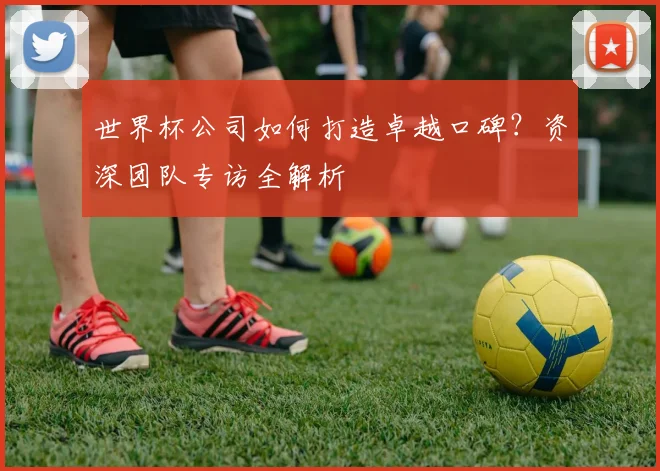 世界杯公司如何打造卓越口碑？资深团队专访全解析
