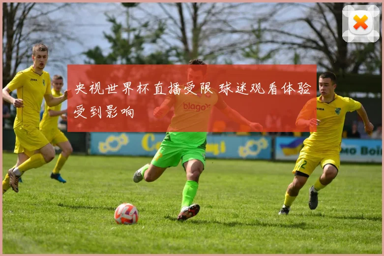 央视世界杯直播受限 球迷观看体验受到影响