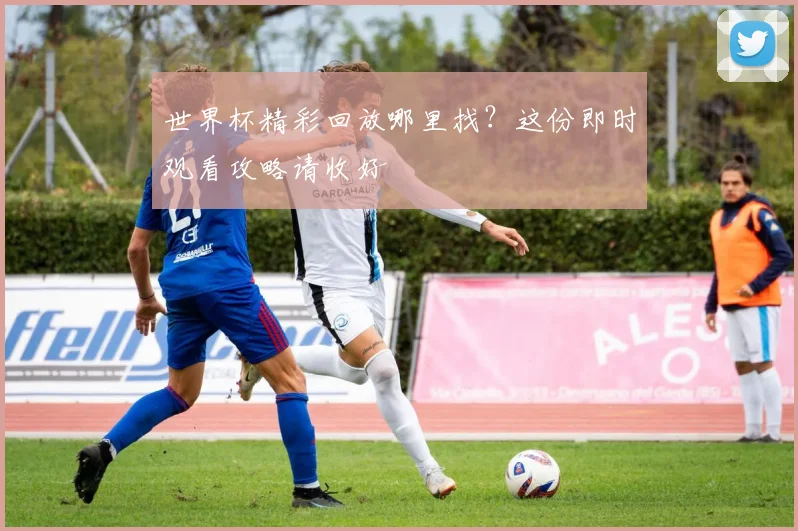 世界杯精彩回放哪里找？这份即时观看攻略请收好