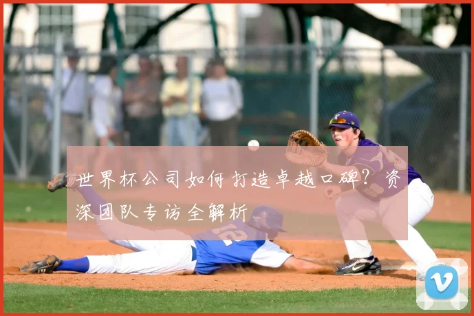 世界杯公司如何打造卓越口碑?资深团队专访全解析