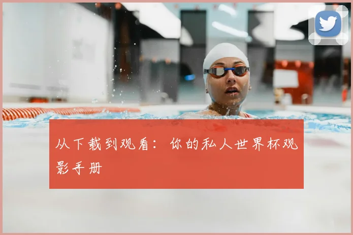 从下载到观看：你的私人世界杯观影手册