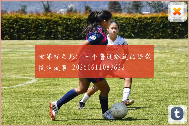 世界杯足彩：一个普通球迷的逆袭投注故事_20260611083622