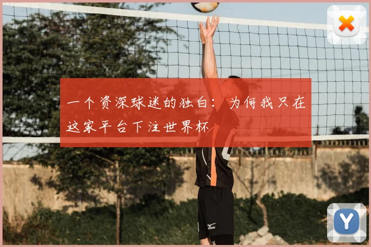 一个资深球迷的独白：为何我只在这家平台下注世界杯