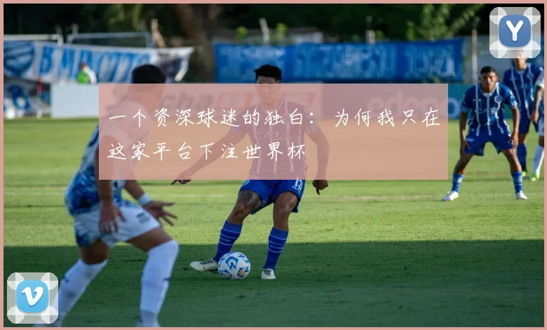 一个资深球迷的独白：为何我只在这家平台下注世界杯