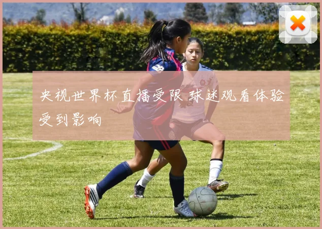 央视世界杯直播受限 球迷观看体验受到影响