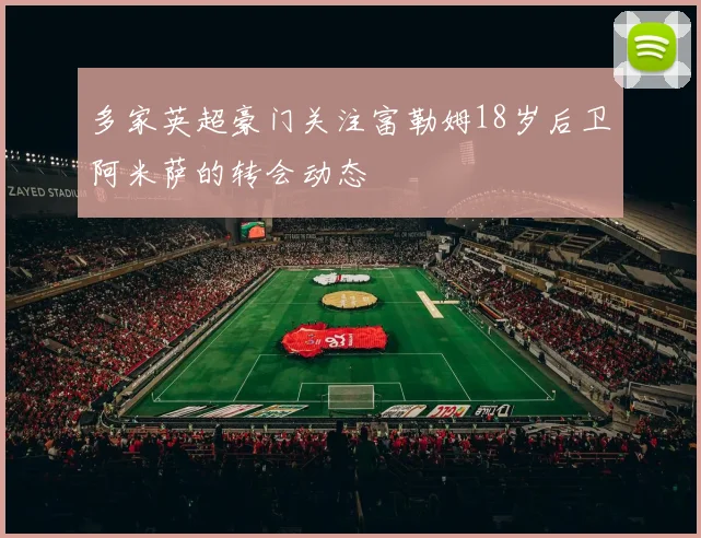 多家英超豪门关注富勒姆18岁后卫阿米萨的转会动态